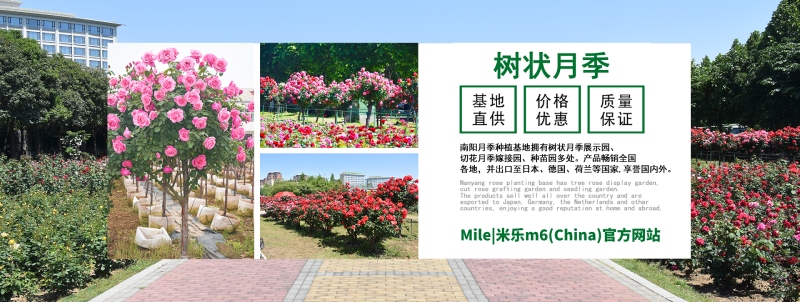 公司简介 - Mile|米乐m6(China)官方网站